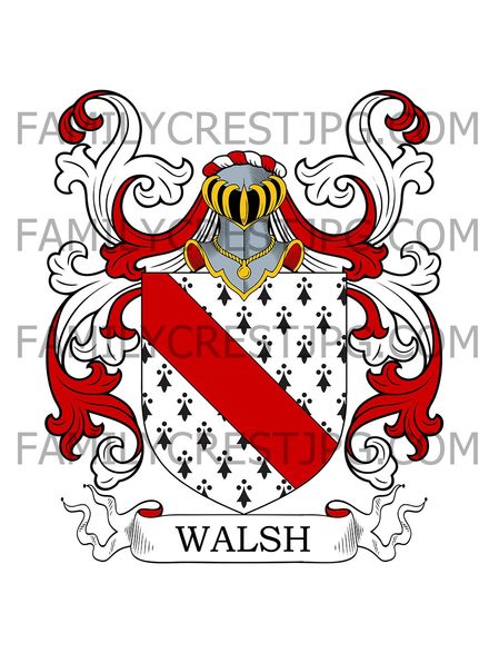 Walsh Family Crest