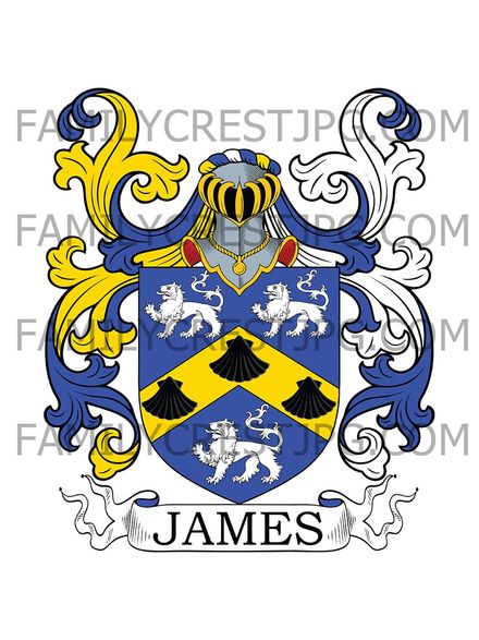 James Family Crest - Pool Court, co. Worcester, England