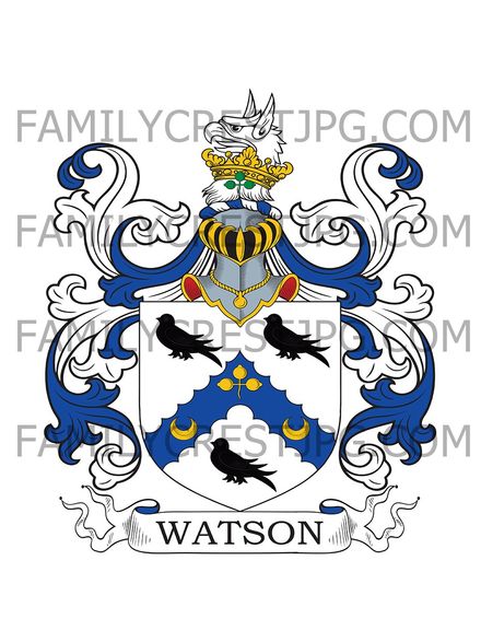 Watson Family Crest -  Kilmanahan Castle, co. Waterford, Ireland
