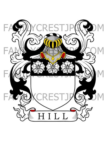 Hill Family Crest - London, England