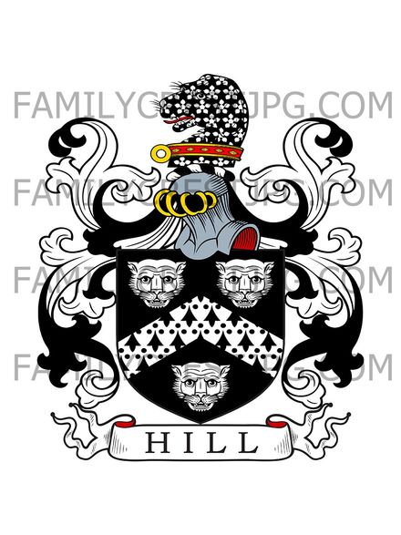 Hill Family Crest - Pickering, co. Yorkshire, England