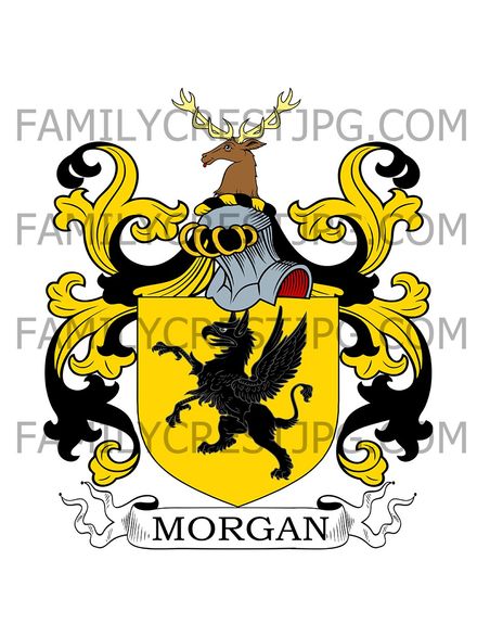 Morgan Family Crest - Ireland
