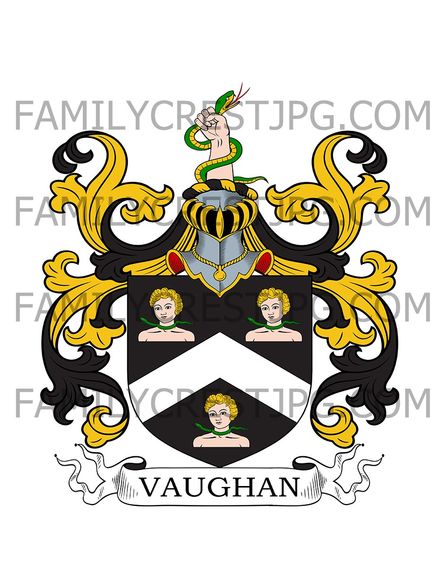 Vaughan Family Crest - Falstone, co. Wiltshire, England