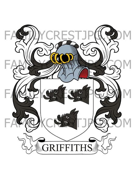 Griffiths Family Crest