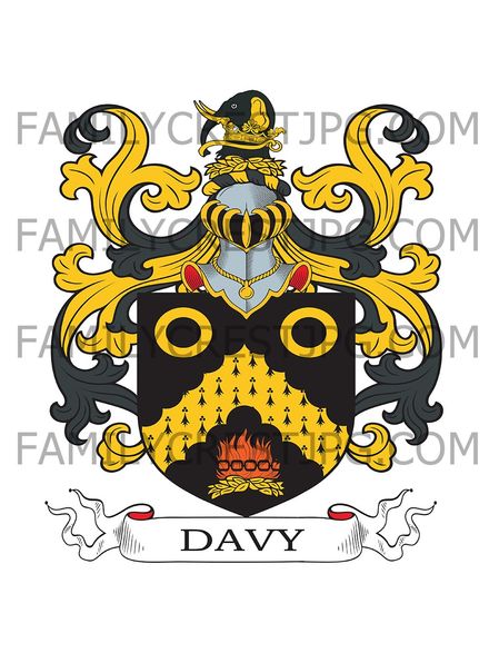 Davy Family Crest - England
