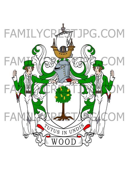 Wood Family Crest - Gatton Park, co. Surrey, England