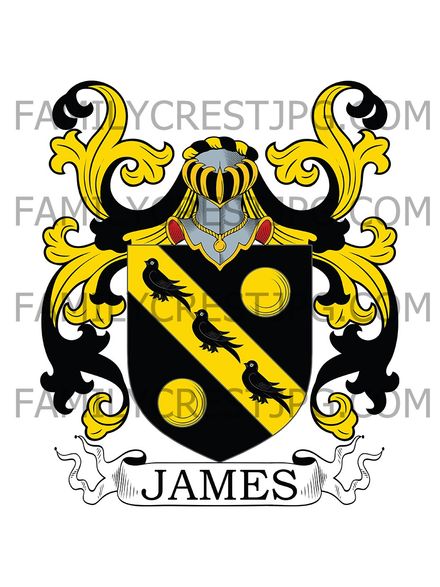 James Family Crest - Worcester, England