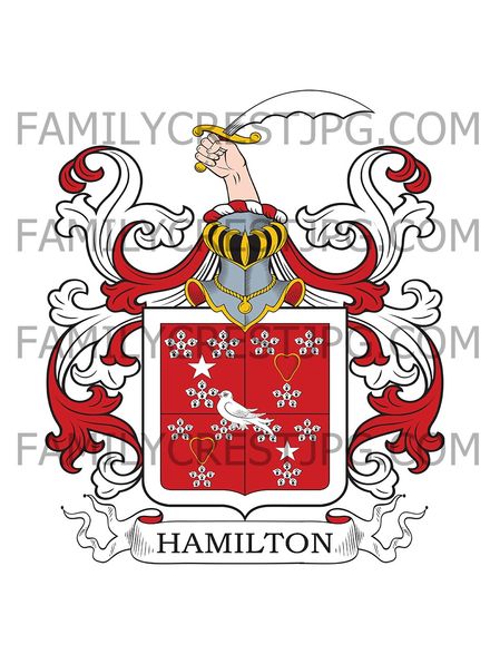 Hamilton Family Crest - Newton, Scotland