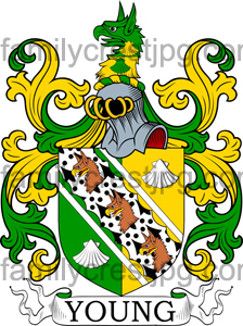 Young Family Crest, Young Coat of Arms