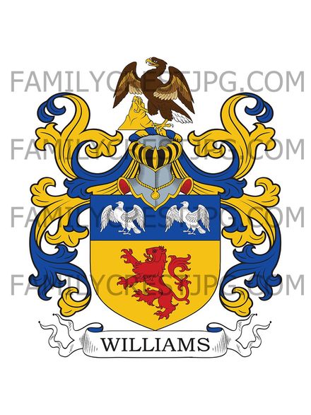 Williams Family Crest - Boston, MA