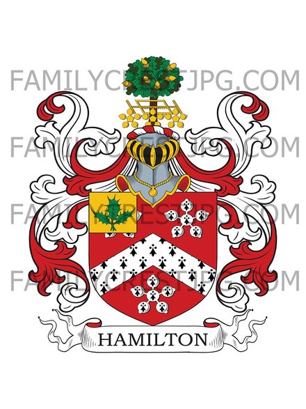 Hamilton Family Crest - Cornacassa, co. Monaghan Ireland