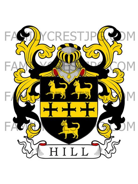 Hill Family Crest - Bedford &amp; Berkshire, England