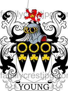 Young Family Crest, Young Coat of Arms