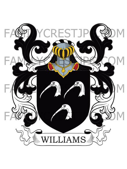 Williams Family Crest - Stowford House, co. Devon, England