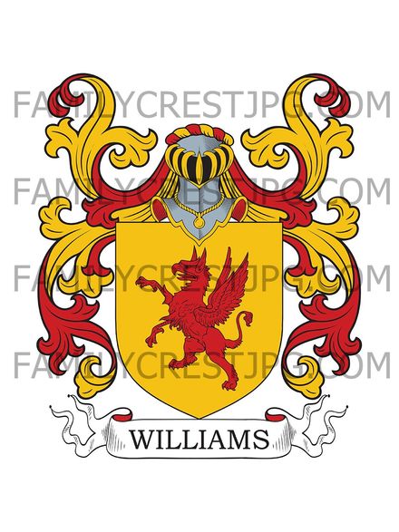 Williams Family Crest - Denbigh, Wales