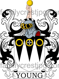 Young Family Crest, Young Coat of Arms