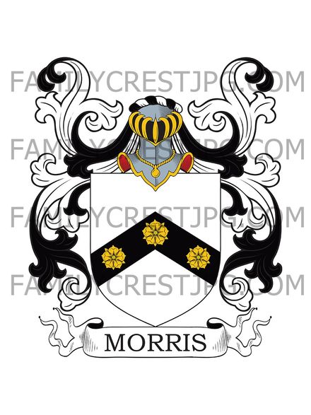 Morris Family Crest - Ireland