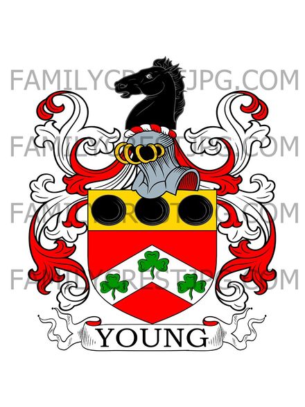 Young Family Crest