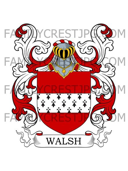 Walsh Family Crest
