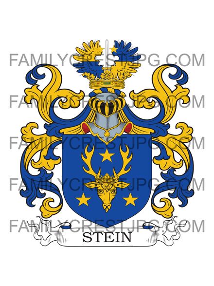 Stein Family Crest - Sweden 1656