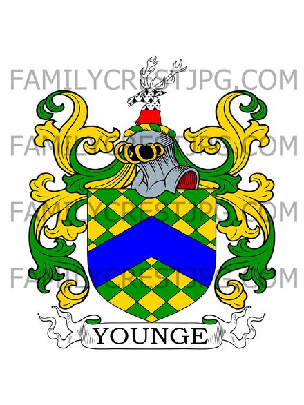 Younge Family Crest - Hampshire, England