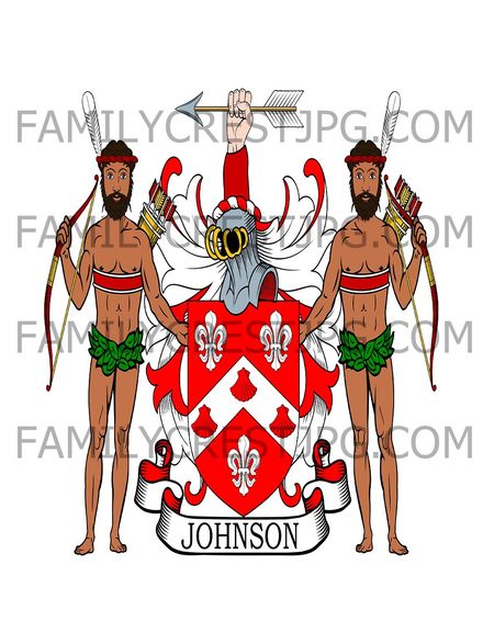 Johnson Family Crest - Meath, Ireland