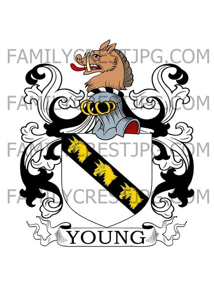 Young Family Crest