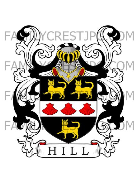 Hill Family Crest - Windsor, co. Berkshire, England