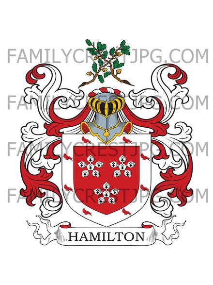 Hamilton Family Crest - Westport, co. Linlithgow, Scotland
