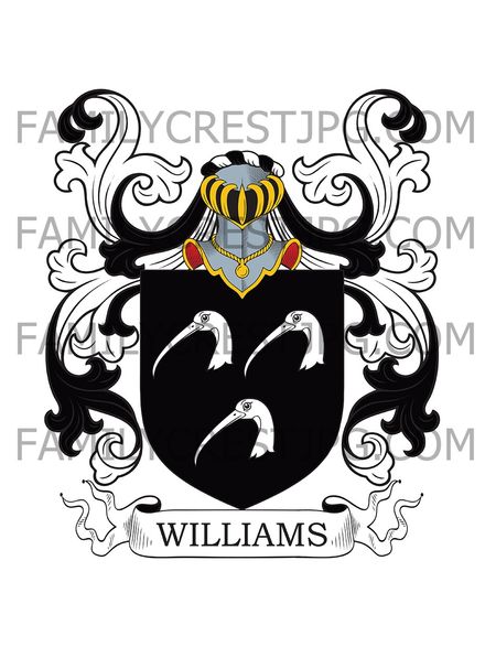 Williams Family Crest