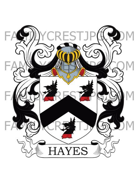 Hayes Family Crest