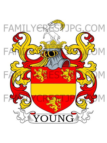 Young Family Crest - northern England