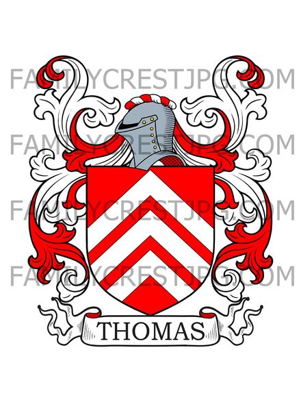 Thomas Family Crest - Glamorgan, Wales