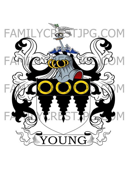 Young Family Crest
