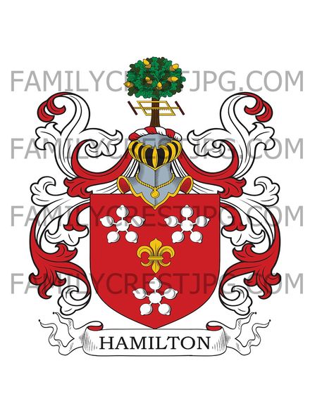 Hamilton Family Crest -  Bourtreehill, co. Ayr, Scotland