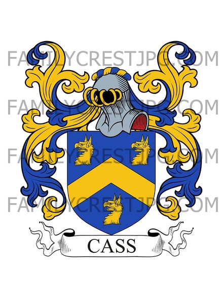 Cass Family Crest - Ireland