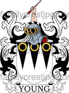 Young Family Crest, Young Coat of Arms