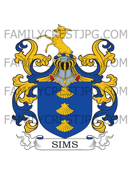 Sims