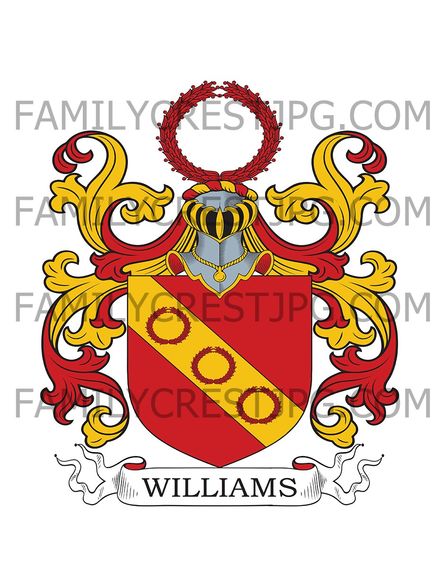 Williams Family Crest - Devon, England