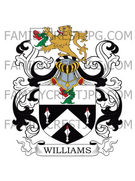 Williams Family Crest - Aberystwyth, co. Monmouth, Wales