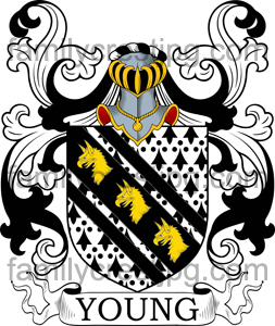 Young Family Crest, Young Coat of Arms