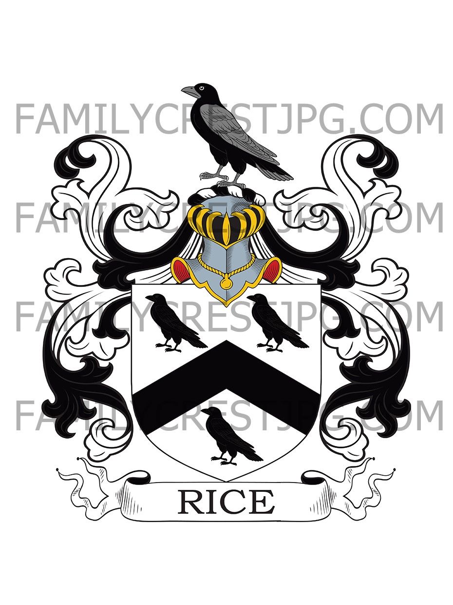 Rice Family Crest - Newton House, co. Carmarthen, Wales
