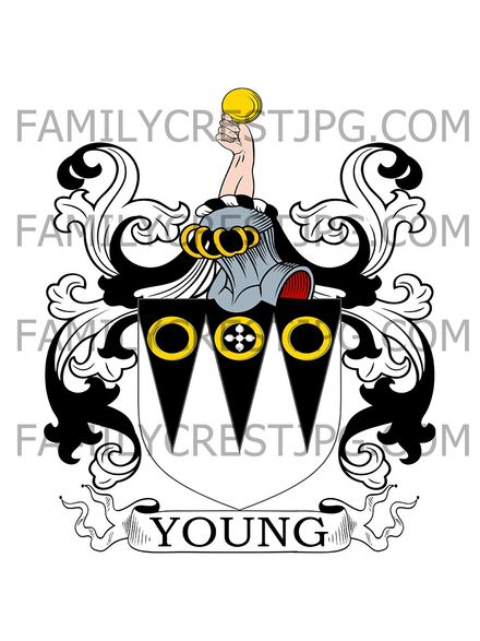 Young Family Crest