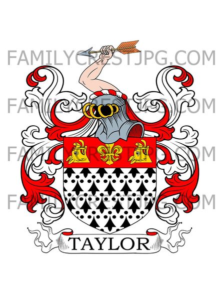 Taylor Family Crest - Dublin, Ireland