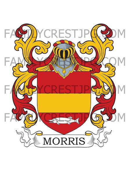 Morris Family Crest - Ireland