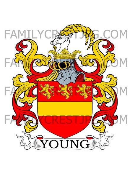 Young Family Crest