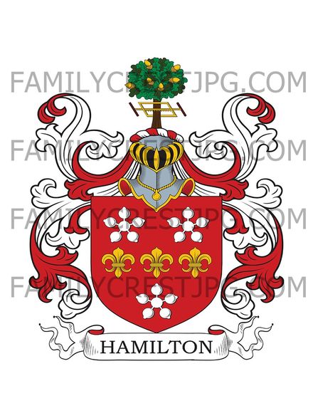 Hamilton Family Crest - Sundrum, co. Ayr, Scotland