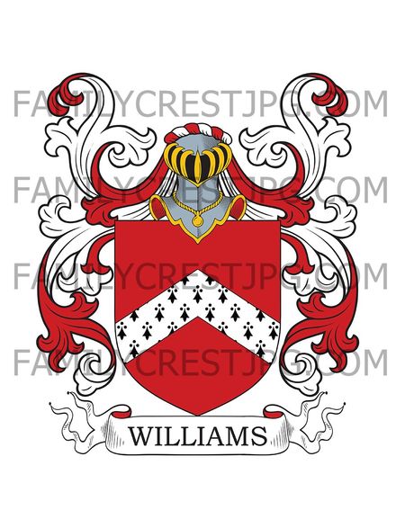 Williams Family Crest - Brecon, Wales