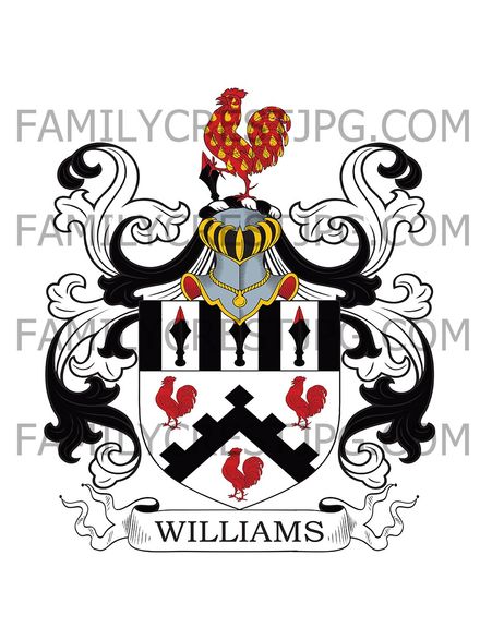 Williams Family Crest - Micklegate, co. York, England