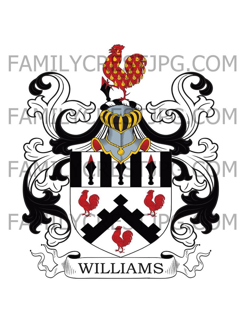 Williams Family Crest - Micklegate, co. York, England